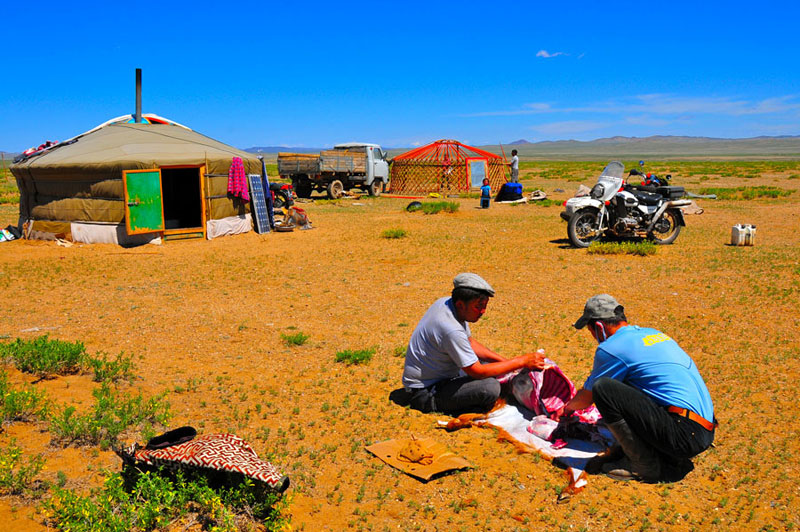 Mongolie